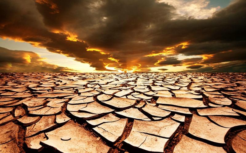 علماء يرصدون ”ظاهرة خطيرة” تُهدد التربة والمناخ