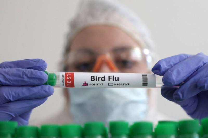 الحكومة الأمريكية تختبر لقاحات إنفلونزا الطيور للطيور رغم صعوبة إنهاء التفشي التاريخي