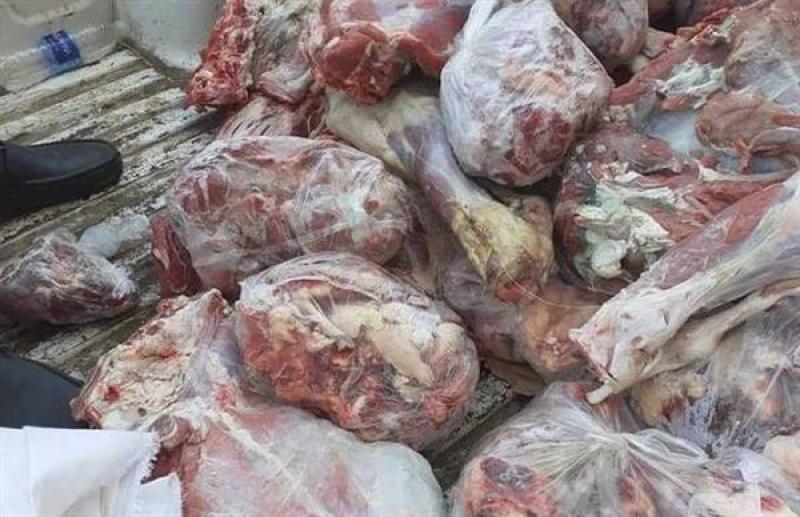 ضبط طن و٥٠٠ كيلوجرام من اللحوم المجمدة غير الصالحة للاستهلاك الآدمي ببني سويف