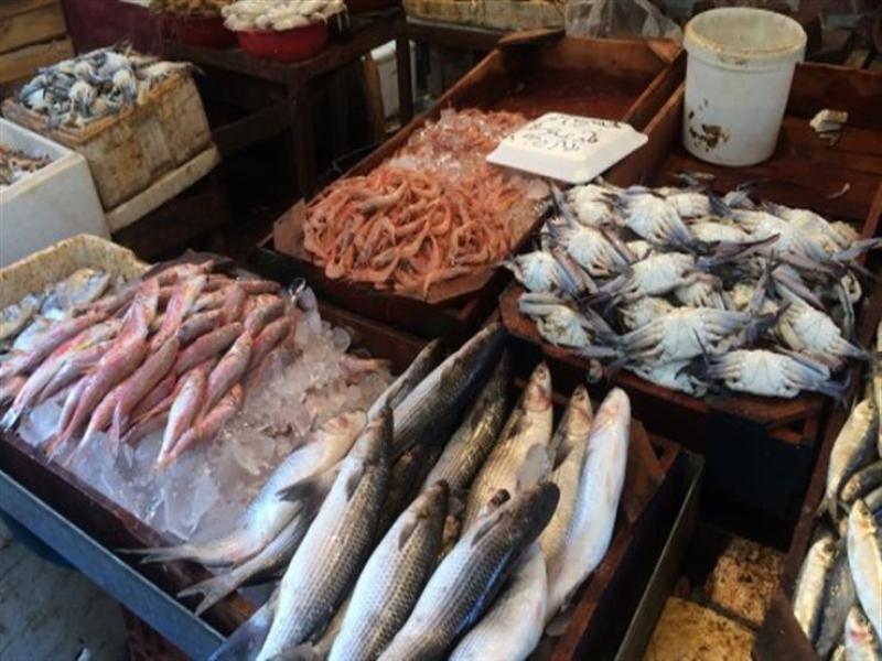أسعار الأسماك اليوم السبت 1 يوليو 2023