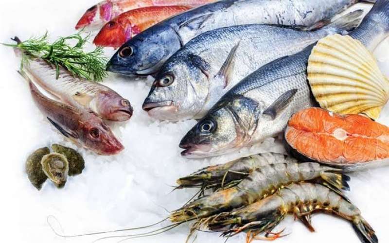 أسعار الأسماك اليوم الثلاثاء 4 يوليو 2023