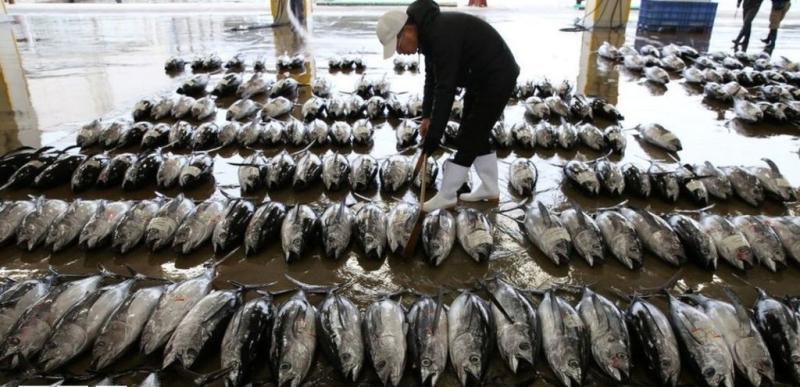 روسيا تشدد الرقابة على المأكولات البحرية بسبب تصريف مياه محطة فوكوشيما