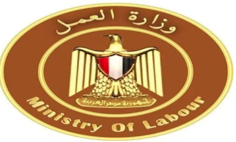 وزارة العمل : تعيين 8 آلاف و 303 من ذوي الهمم في 6 أشهر