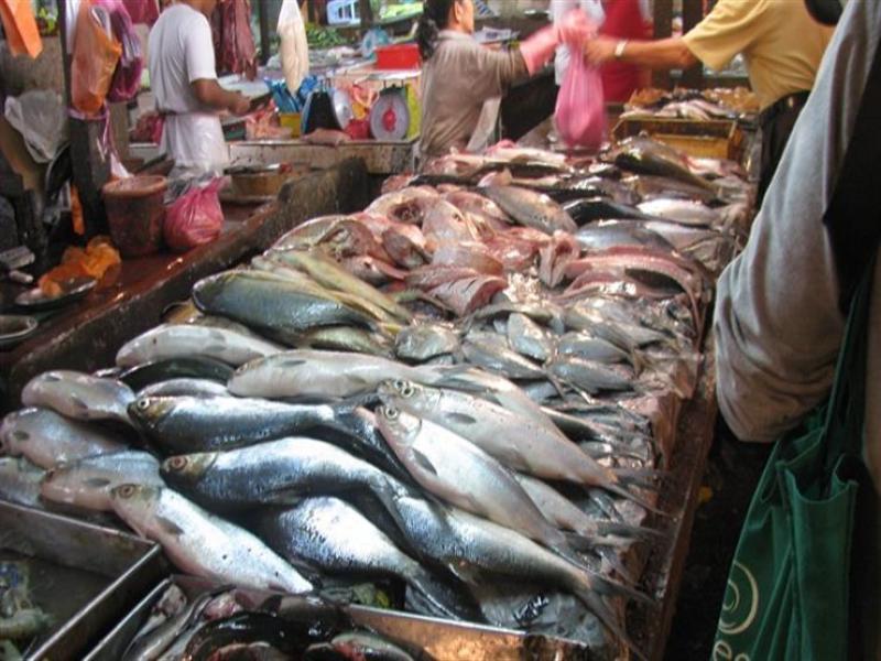 أسعار الأسماك اليوم الإثنين 24 يوليو 2023