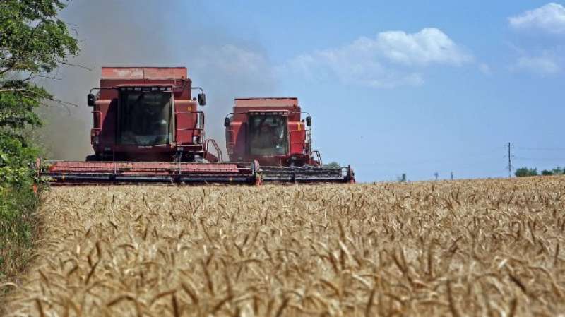 الكرملين: روسيا مستعدة للعودة فورا إلى صفقة الحبوب حال تنفيذ الجزء المتعلق بها