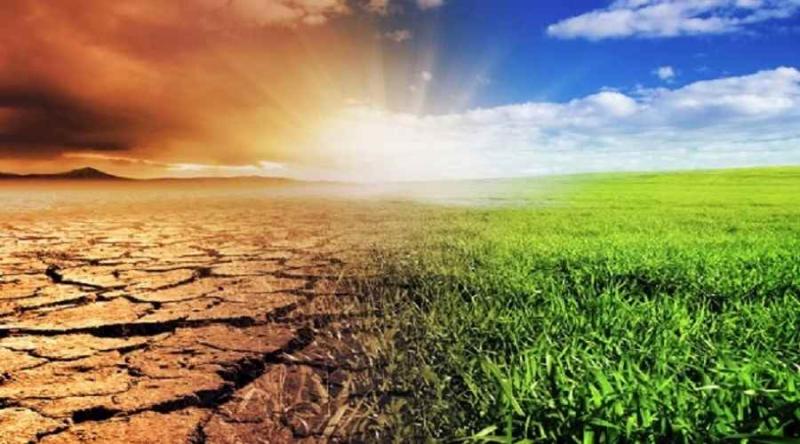 خبير دولي: ارتفاع درجة حرارة الأرض يهدد المحاصيل الزراعية وينذر بكارثة غذائية عالمية