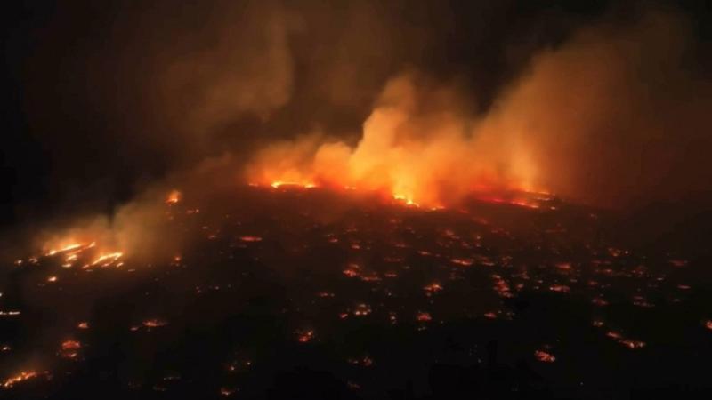 ارتفاع حصيلة ضحايا حرائق الغابات في هاواي الأمريكية إلى 80 شخصا
