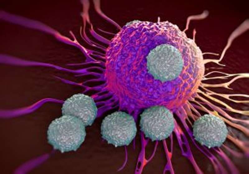 توظيف الجهاز المناعي للجسم لعلاج سرطان المبيض
