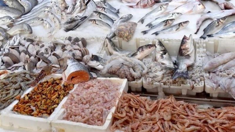 أسعار الأسماك اليوم، 110 جنيهات ارتفاعًا في سعر الجمبري بسوق العبور