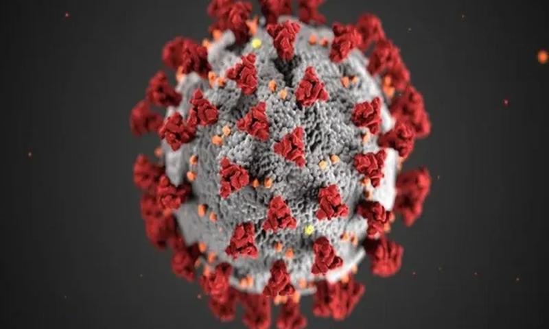 استشاري حساسية: فيروس كورونا الآن يتحور بصورة أقل وأضعف